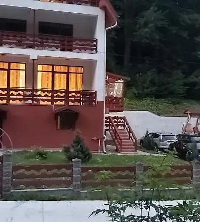 Vila Visinica Guest house Predeal