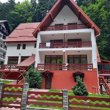 Vila Visinica