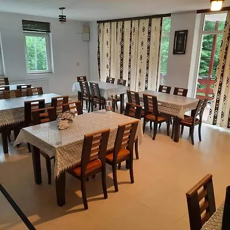 Vila Visinica Guest house Predeal