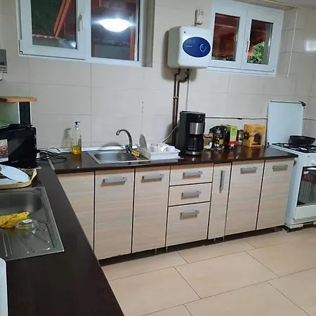 Guest house Vila Visinica 3*