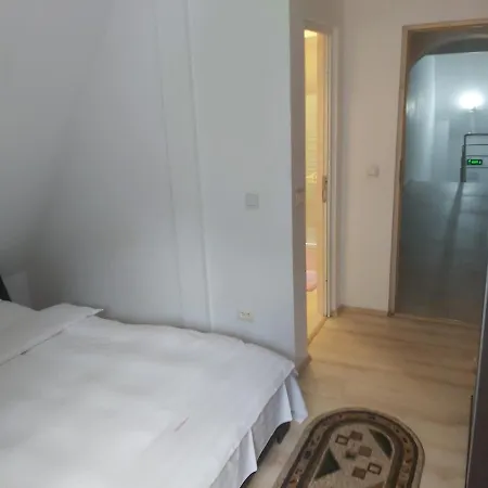 Guest house Vila Visinica