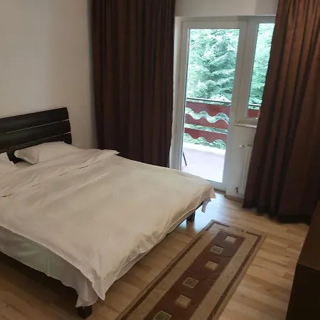 Vila Visinica 3* Predeal