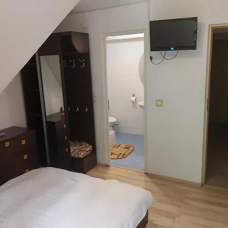 Vila Visinica