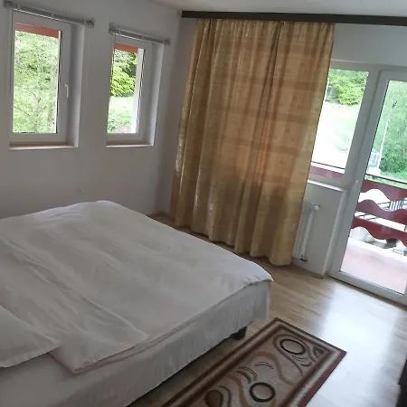 Guest house Vila Visinica 3*