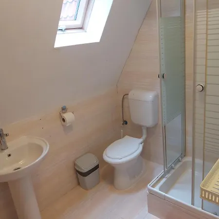 Vila Visinica 3*