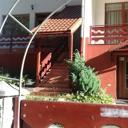Guest house Vila Visinica